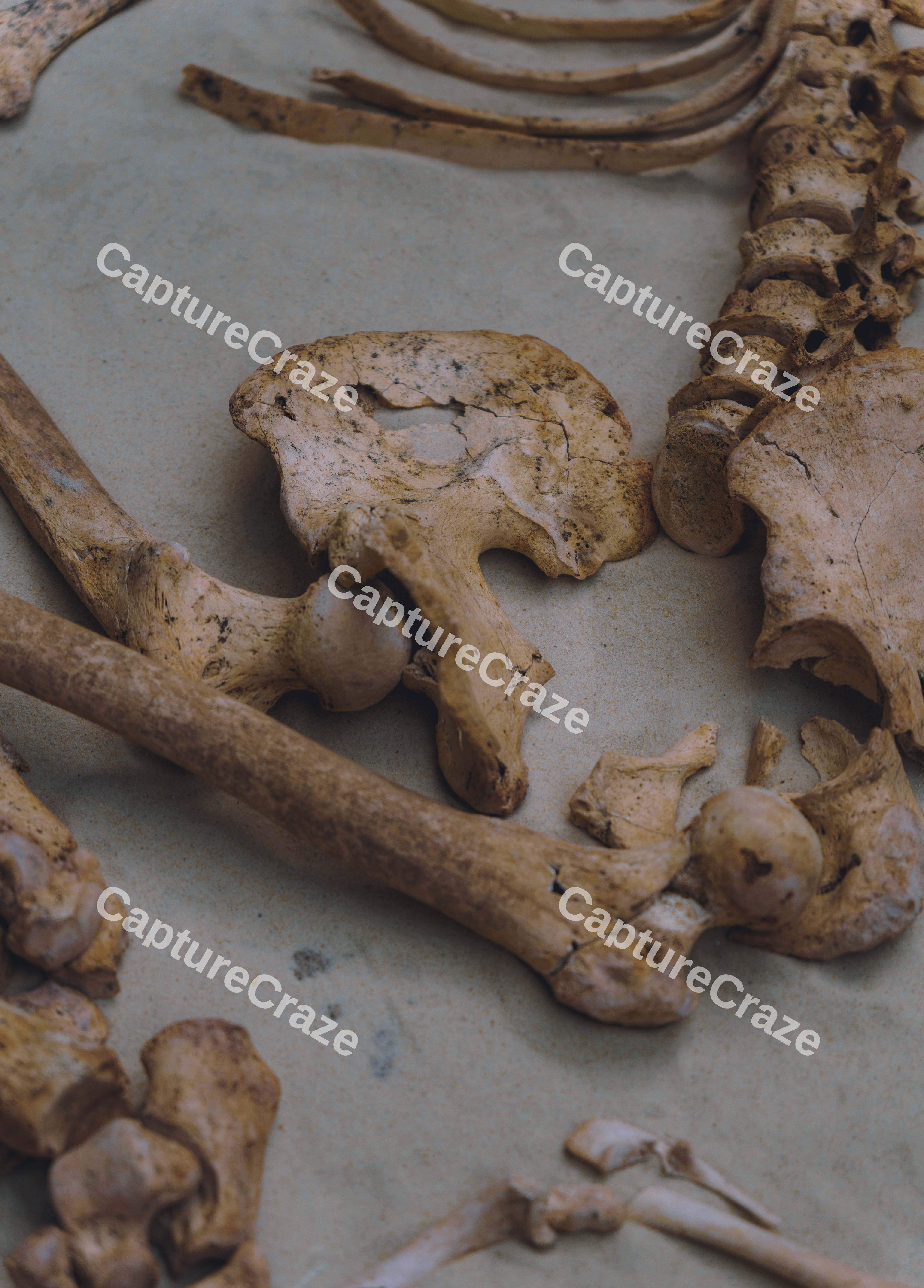 Scattered Remains